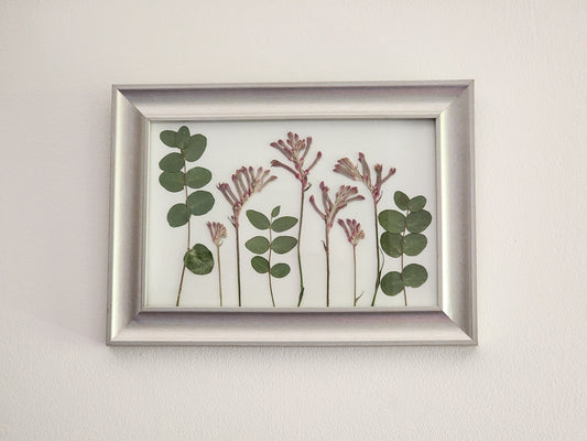 Kangaroo Paw and Eucalyptus Art