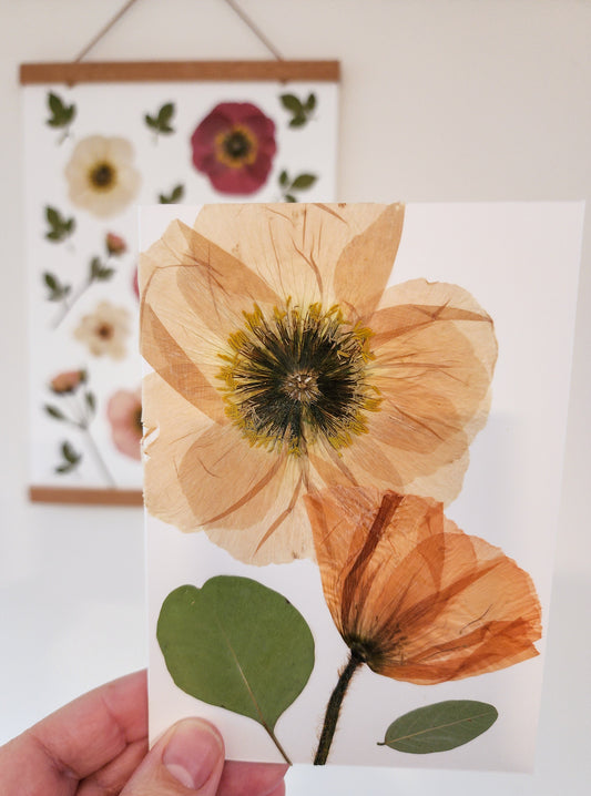 Real Pressed Flower Card - Poppy