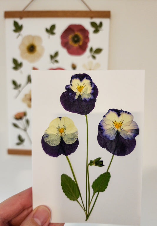 Real Pressed Flower Card - Pansy Garden