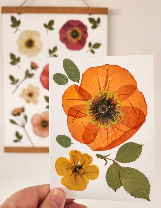 Real Pressed Flower Card - Poppy 2