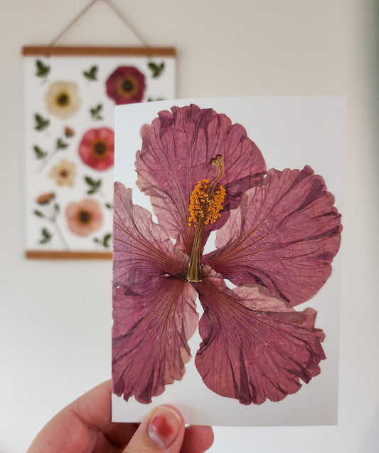 Real Pressed Flower Card - Hibiscus