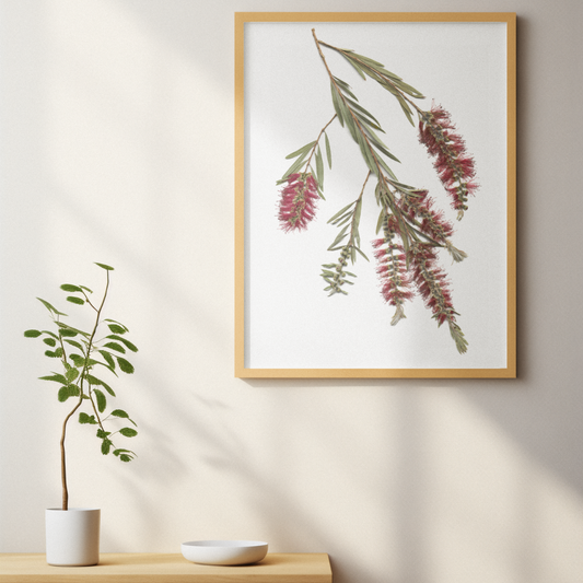 Australiana - Red Bottle Brush Print